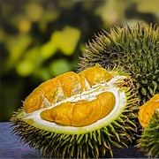 Malaysian Durian Fruit