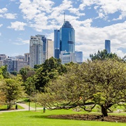 City Botanic Gardens, Brisbane, Australia