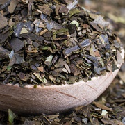 Guayusa Tea