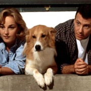 Murray ("Mad About You")