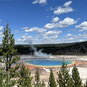 Grand Prismatic Hot Spring, Yellowstone NP