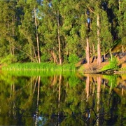 Don Castro Regional Recreation Area