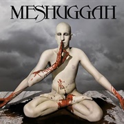"Bleed" by Meshuggah