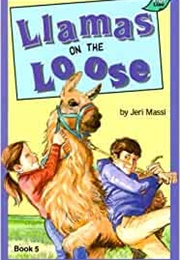 Llamas on the Loose (Jeri Massi)