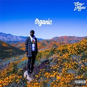 Organic (Casey Veggies, 2019)