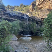 Bridal Wreath Falls Trail, Saguaro National Park