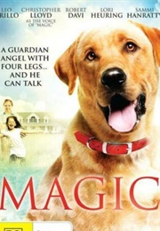 Magic (2010)