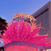 Flamingo Hotel., Las Vegas