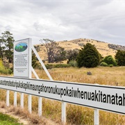 Taumatawhakatangihangakoa Uauotamateaturipukakapikimanga Horonukupokaiwhenuakitanatahu, NZ