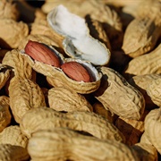 Roasted Peanuts