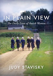 In Plain View: The Daily Lives of Amish Women (Judy Stavisky)