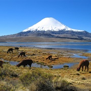 Parinacota