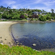 Macandrew Bay