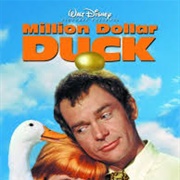 The Million Dollar Duck