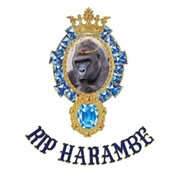 Elon Musk - RIP Harambe