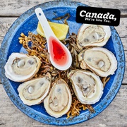Mussels and Oysters (PEI)