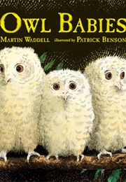 Owl Babies (Martin Waddell and Patrick Benson)