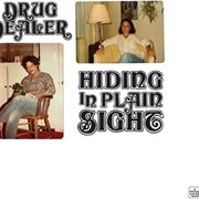 Drugdealer - Hiding in Plain Sight