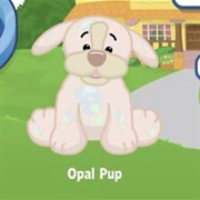 Opal Pup