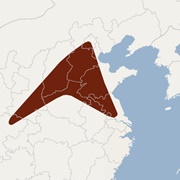 Beijing Mouse-Eared Bat