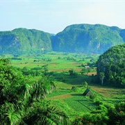 Cuba - Viñales Valley