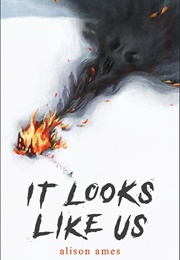 It Looks Like Us (Alison Ames)
