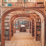 Check a Book Out of the Library