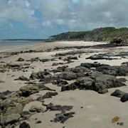 Big Talbot Island State Park