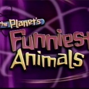 The Planet's Funniest Animals