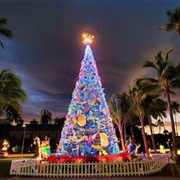 Christmas in Hawaii