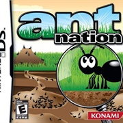 Ant Nation