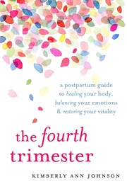 The Fourth Trimester (Kimberly Ann Johnson)