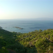 Sanctuary of Dionysus, Salamina