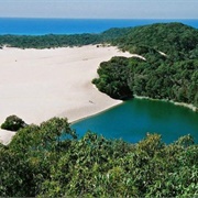Lake Wabby, K'gari, Fraser Island, QLD