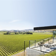 Brancott Estate Winery
