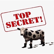 #2 I Am Good at Keeping Secrets