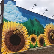 Bessemer City, North Carolina