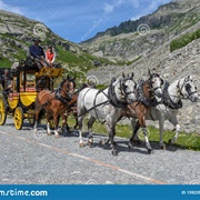 She'll Be Comin' 'Round the Mountain