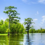Atchafalaya Basin, Louisiana