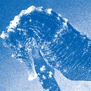 "Windswept Adan" Concert at Bunkamura Orchard Hall (Ichiko Aoba, 2021)