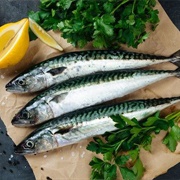 MacKerel