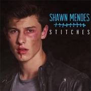 Shawn Mendes, "Stitches"