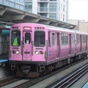 Pink Line Train, Chicago