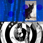 Le Tigre - I'm With Her