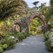 Tresco Abbey Garden