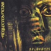 Neglected Fields - Splenetic
