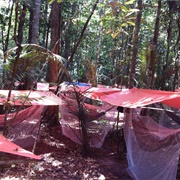 Overnight in the Amazon Jungle
