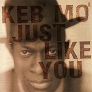 Just Like You (Keb' Mo')