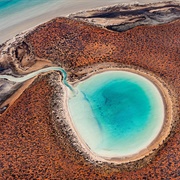 Shark Bay, Australia