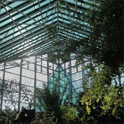 Bee Mask - When We Were Eating Unripe Pears